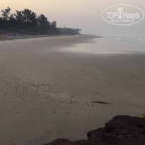 фото из отзыва ID 1964583