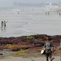 фото из отзыва ID 1964583