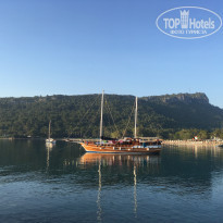 фото из отзыва ID 1964938