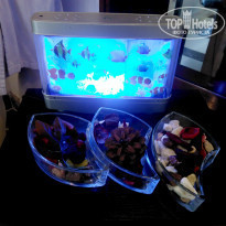 фото из отзыва ID 1964968