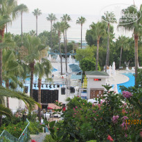 фото из отзыва ID 1964607