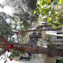 фото из отзыва ID 1964994