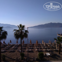 фото из отзыва ID 1965069