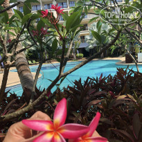 фото из отзыва ID 1965157