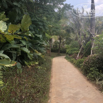 фото из отзыва ID 1965157