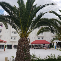 фото из отзыва ID 1965220