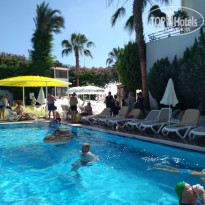 фото из отзыва ID 1965131