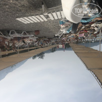 фото из отзыва ID 1965265