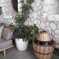 фото из отзыва ID 1965261