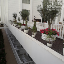 фото из отзыва ID 1965261