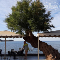 фото из отзыва ID 1965474