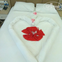 фото из отзыва ID 1965574