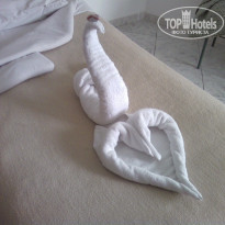 фото из отзыва ID 1965639