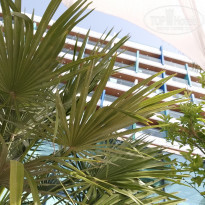 фото из отзыва ID 1965199