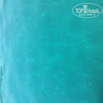 фото из отзыва ID 1965716