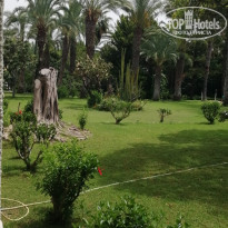 фото из отзыва ID 1965762