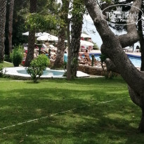 фото из отзыва ID 1965762