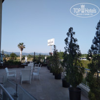 фото из отзыва ID 1965445