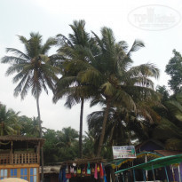 фото из отзыва ID 1965902