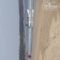 фото из отзыва ID 1965902