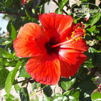 фото из отзыва ID 1965898