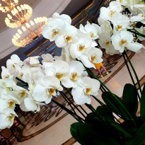 фото из отзыва ID 1965854