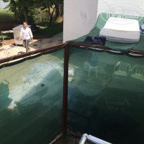 фото из отзыва ID 1966070