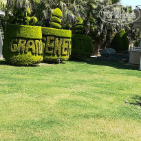 фото из отзыва ID 1966166