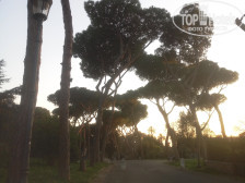 Drago D Oro B&B