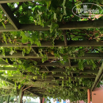 фото из отзыва ID 1966250