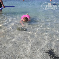 фото из отзыва ID 1966182