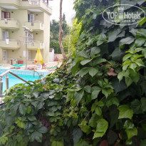 фото из отзыва ID 1966279