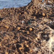 фото из отзыва ID 1966348