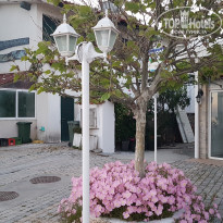 фото из отзыва ID 1966448