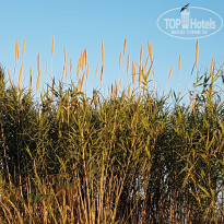 фото из отзыва ID 1966448