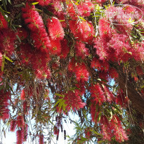 фото из отзыва ID 1966448