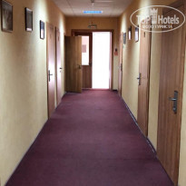 фото из отзыва ID 1966471