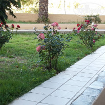 фото из отзыва ID 1966483