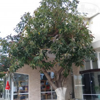 фото из отзыва ID 1966483