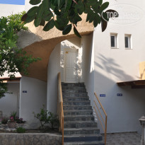 фото из отзыва ID 1966483