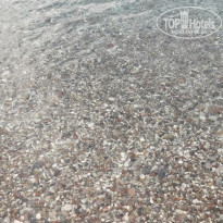 фото из отзыва ID 1966515