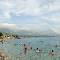 фото из отзыва ID 1966581