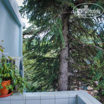 фото из отзыва ID 1966635