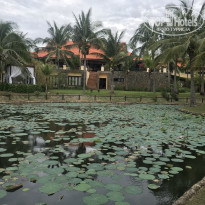 фото из отзыва ID 1966653