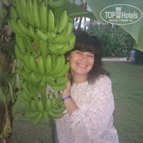 фото из отзыва ID 1966834