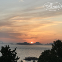 фото из отзыва ID 1966910