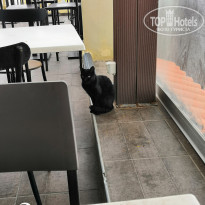 фото из отзыва ID 1966889