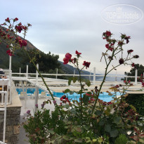 фото из отзыва ID 1966743