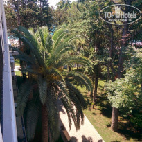 фото из отзыва ID 1966902