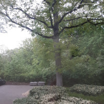 фото из отзыва ID 1966949